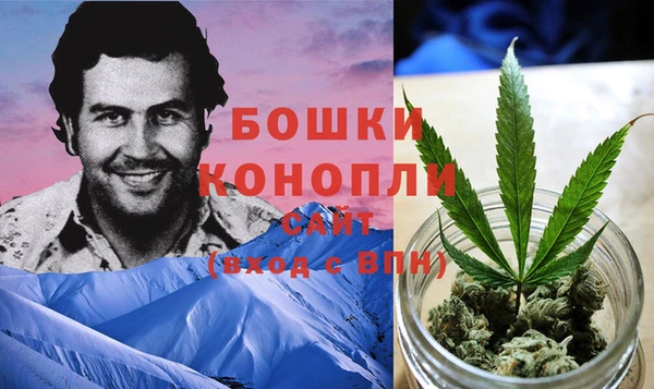 МДПВ Абдулино