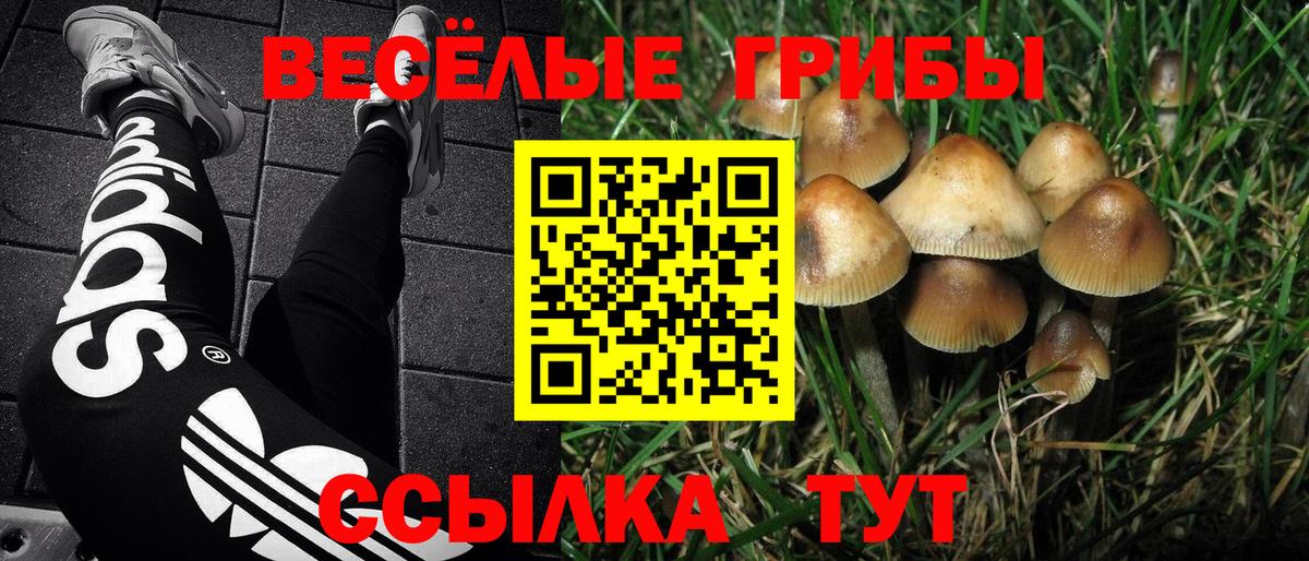 Галлюциногенные грибы мицелий Красноармейск